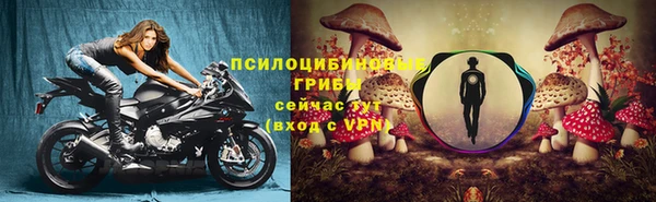 прущие грибы Белоозёрский