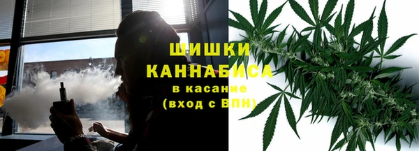 прущие грибы Белоозёрский